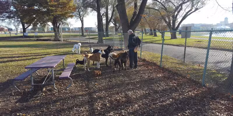 Deeds Point Dog Park - Dayton, OH