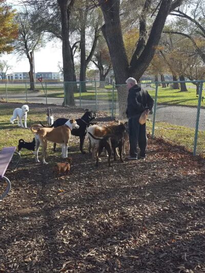 Deeds Point Dog Park - Dayton, OH