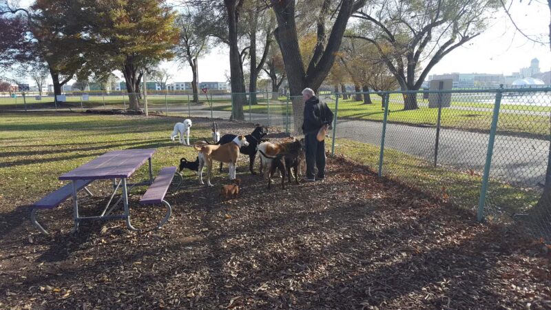 Deeds Point Dog Park - Dayton, OH