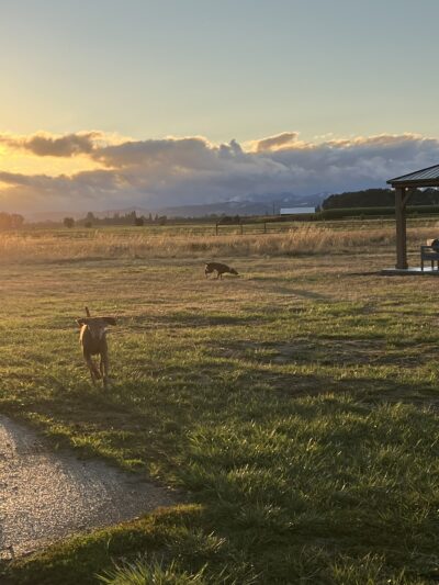 Coast Range Sniffspot / Rome private dog park - Dayton, OR