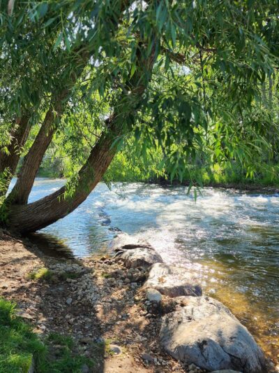 Scott Bicentennial Park - Dayton, WY