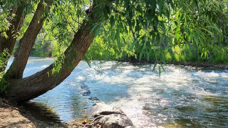Scott Bicentennial Park - Dayton, WY