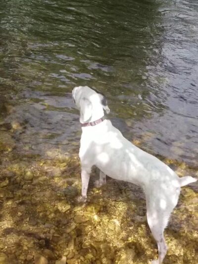 Scott Bicentennial Park - Dayton, WY