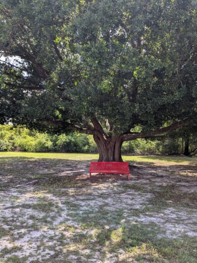 Alexandra Park - DeBary, FL