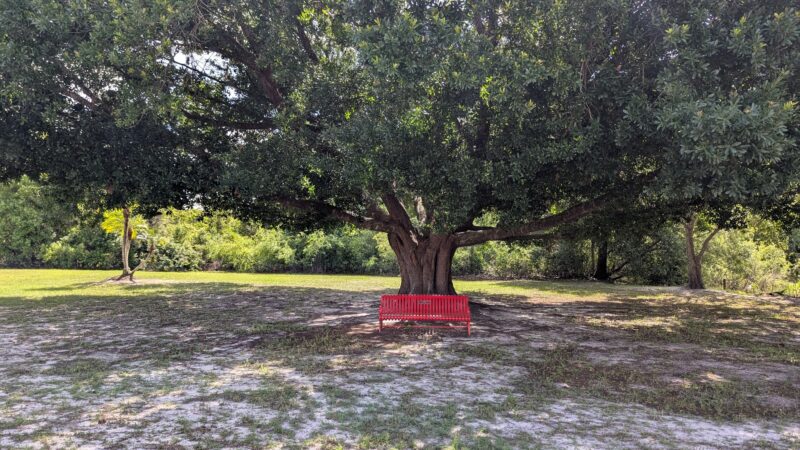 Alexandra Park - DeBary, FL