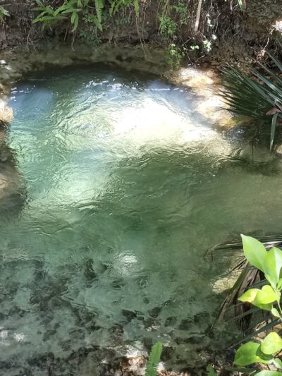 Gemini Springs North Trailhead - DeBary, FL