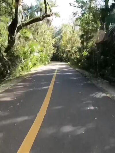 Gemini Springs North Trailhead - DeBary, FL