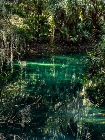 Gemini Springs Park - DeBary, FL