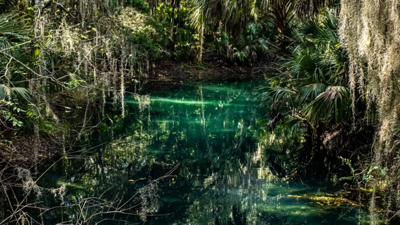 Gemini Springs Park - DeBary, FL