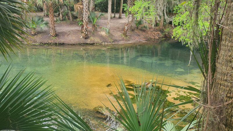 Gemini Springs Park - DeBary, FL