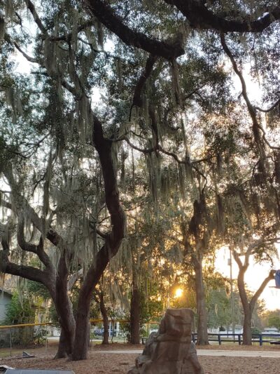 Power Park - DeBary, FL