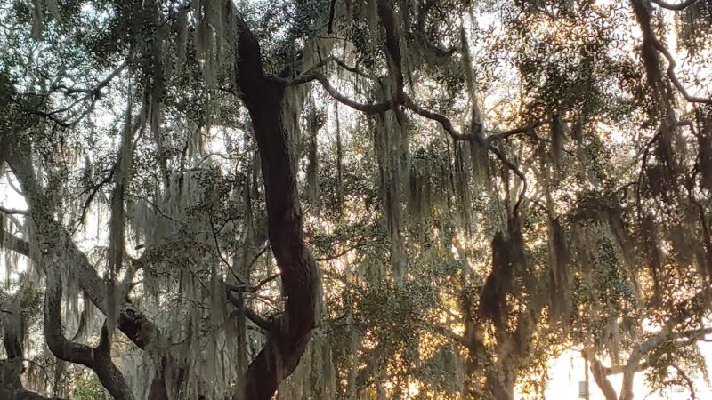 Power Park - DeBary, FL