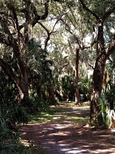 River City Nature Park - DeBary, FL