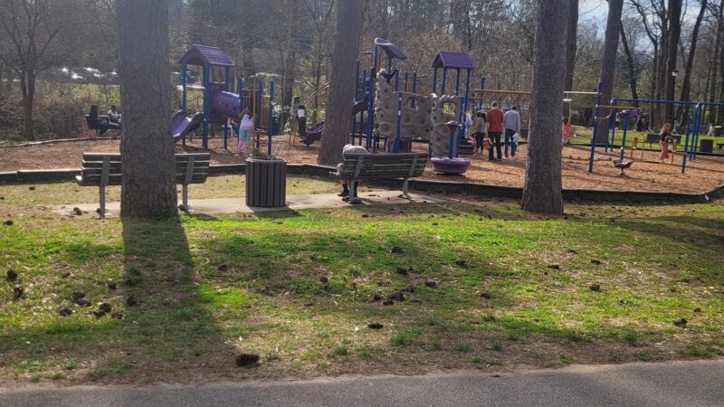 Glenlake Dog Park - Decatur, GA