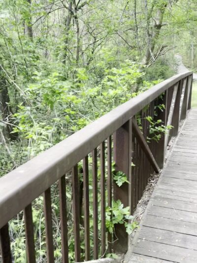 Glenlake Dog Park - Decatur, GA