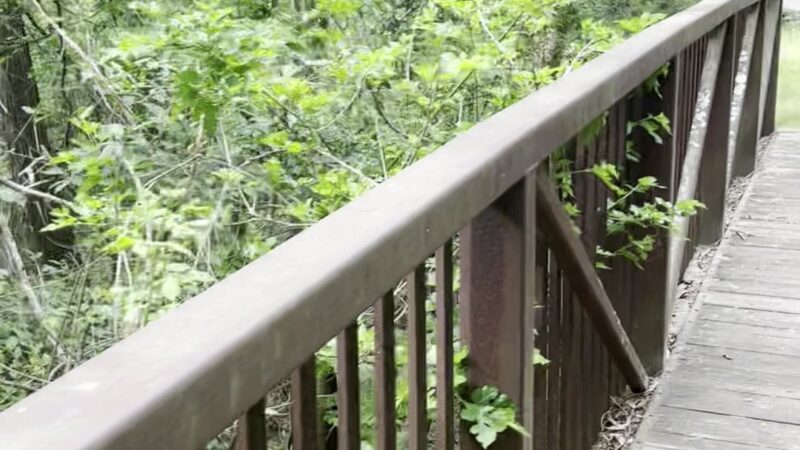 Glenlake Dog Park - Decatur, GA