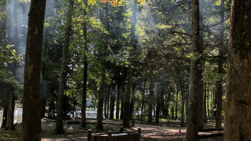 Beech Bend Park - Decaturville, TN