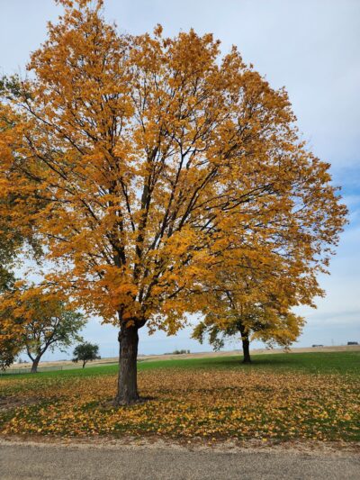 Mishler Park - Deer Creek, IL