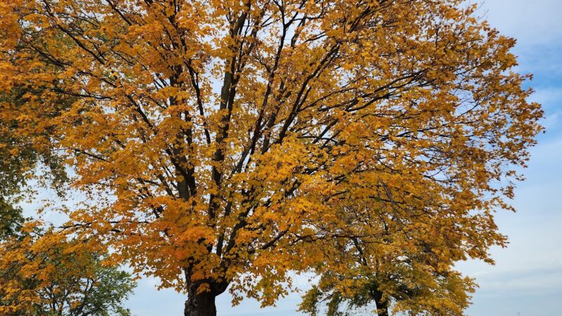 Mishler Park - Deer Creek, IL