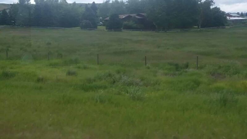Cottonwood City Park - Deer Lodge, MT