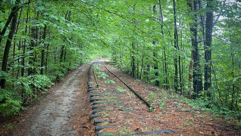 Monadnock Rail Trail - Deering, NH