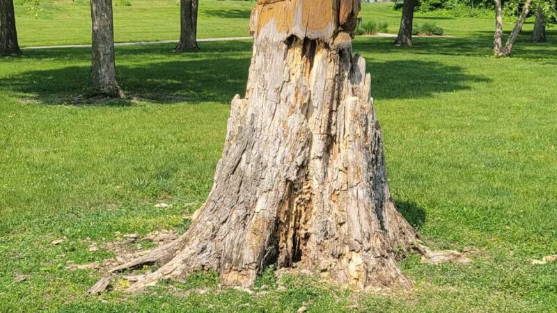 Annie's Woods - DeKalb, IL