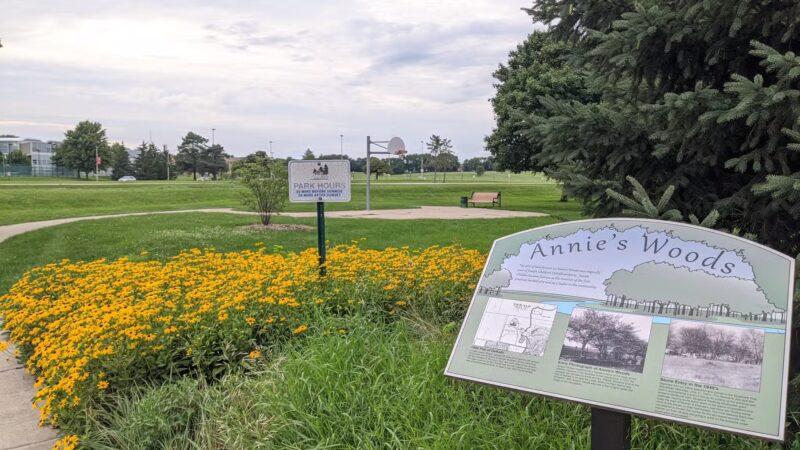Annie's Woods - DeKalb, IL