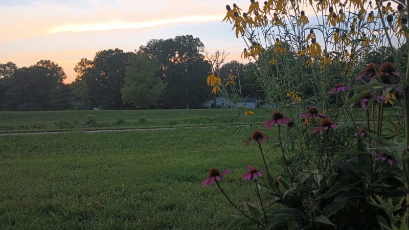 Deprin Park - DeKalb, IL