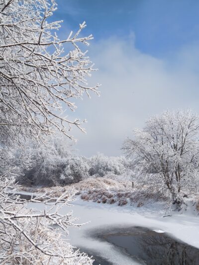 Prairie Park - DeKalb, IL