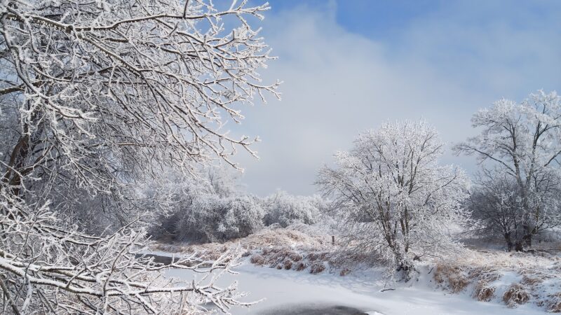 Prairie Park - DeKalb, IL