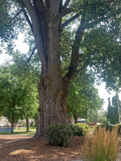 Prather Park - DeKalb, IL