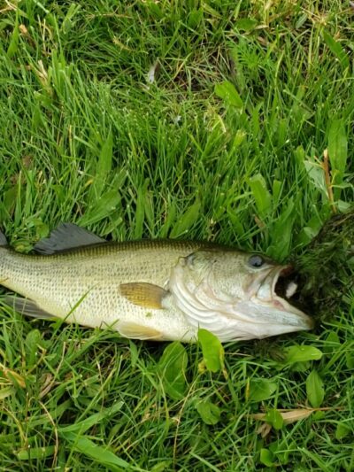 Rotary Park - DeKalb, IL