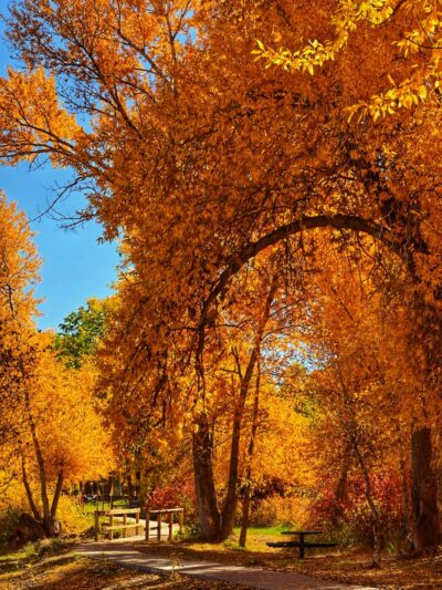 Del Norte Town Park - Del Norte, CO