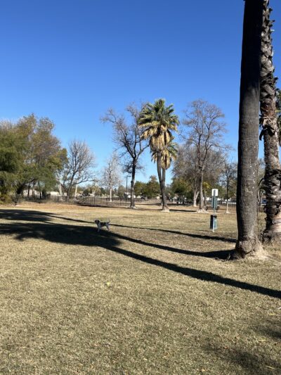 Del Rio Community Dog Park at Carranza Park - Del Rio, TX