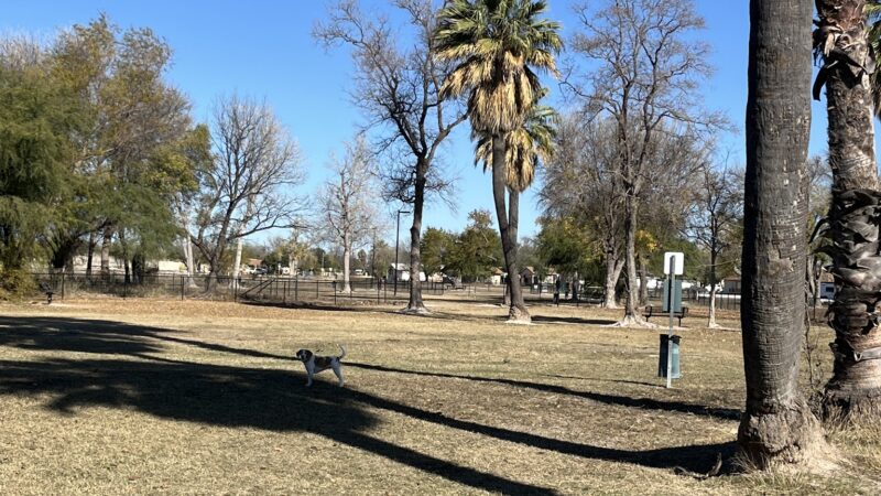 Del Rio Community Dog Park at Carranza Park - Del Rio, TX