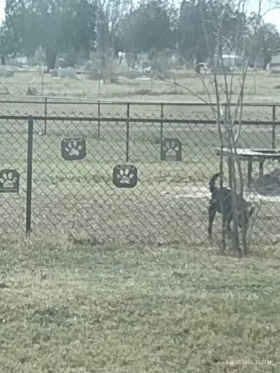 Del Rio Community Dog Park at Carranza Park - Del Rio, TX