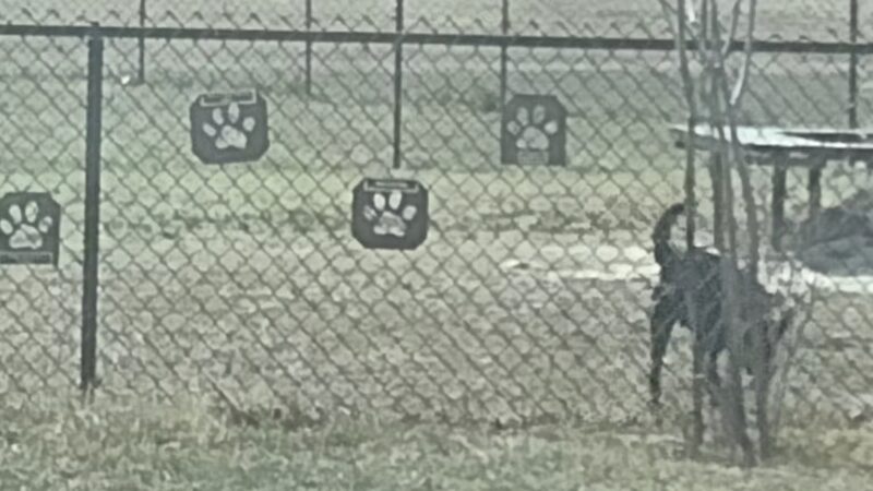 Del Rio Community Dog Park at Carranza Park - Del Rio, TX