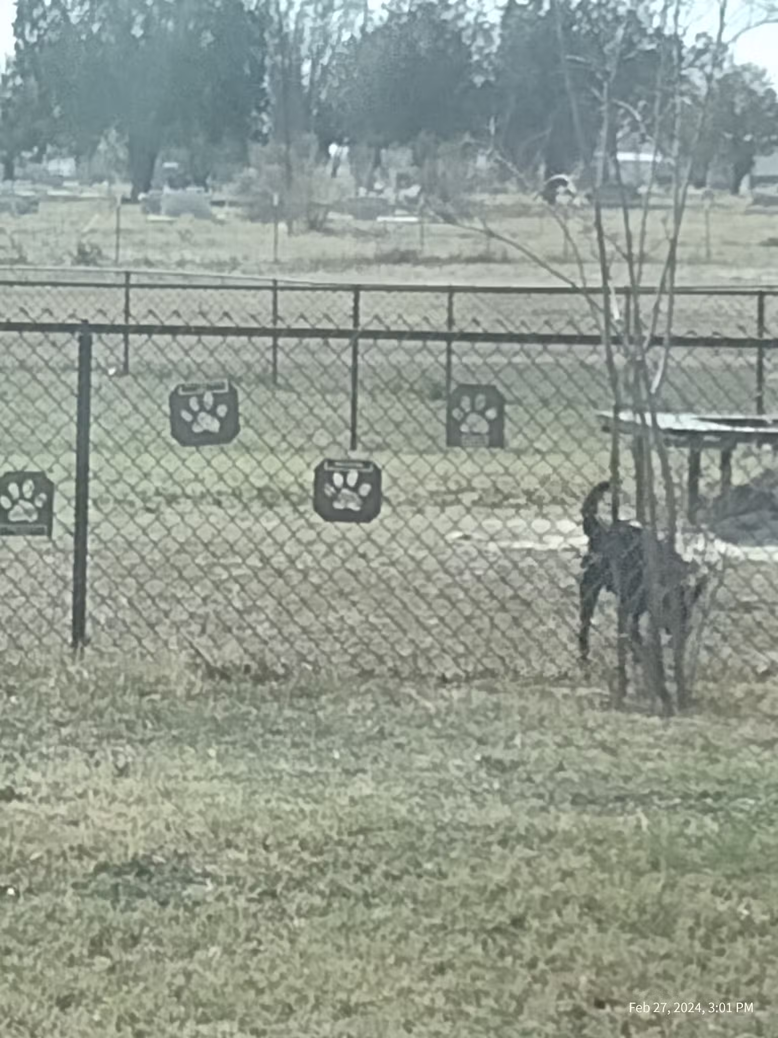 Del Rio Community Dog Park at Carranza Park - Del Rio, TX