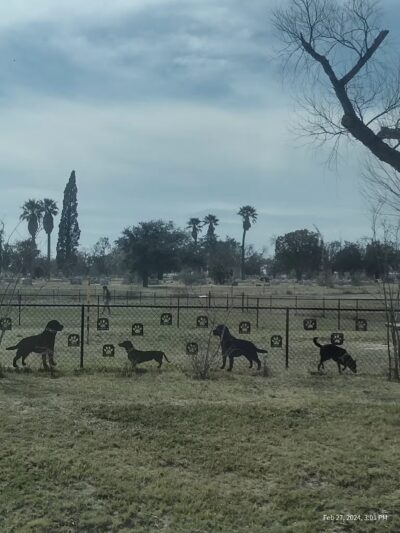 Del Rio Community Dog Park at Carranza Park - Del Rio, TX