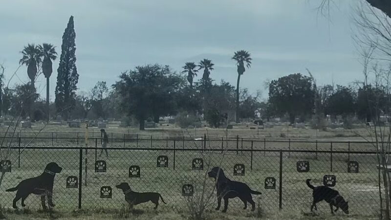 Del Rio Community Dog Park at Carranza Park - Del Rio, TX