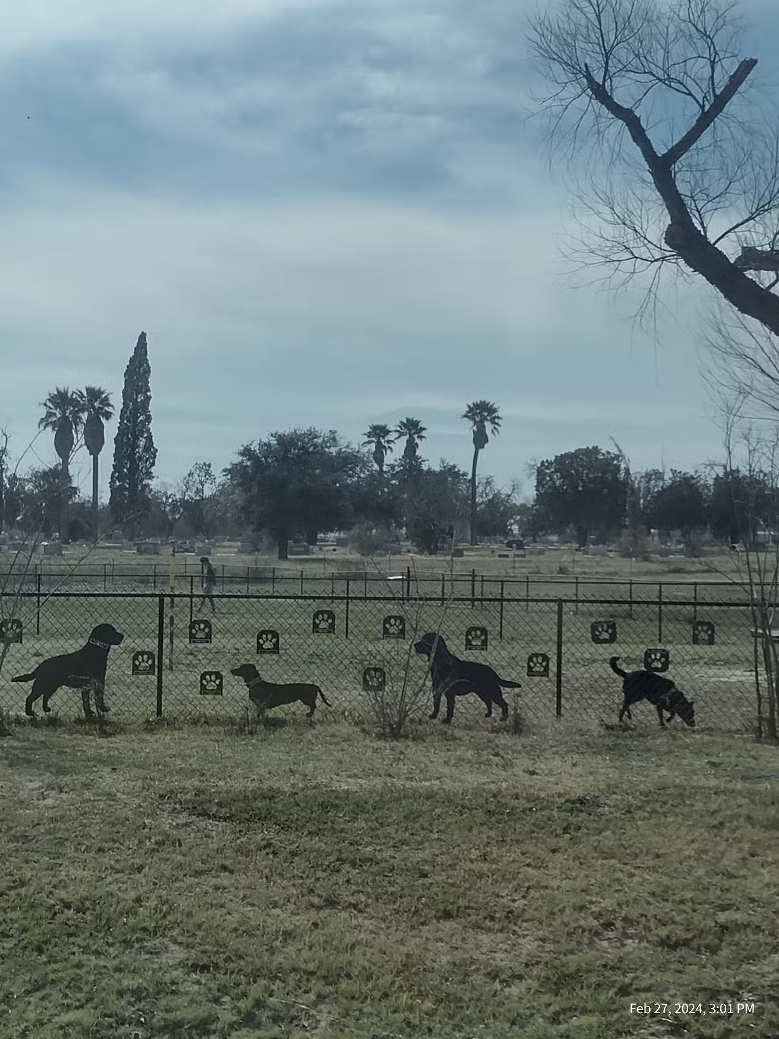 Del Rio Community Dog Park at Carranza Park - Del Rio, TX