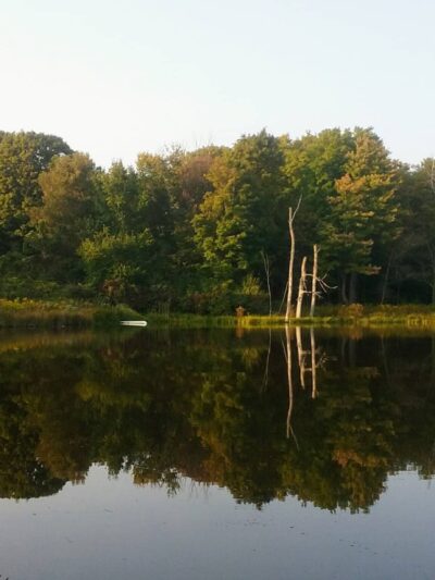 Schenectady County Nature and Forest Preserve - Delanson, NY