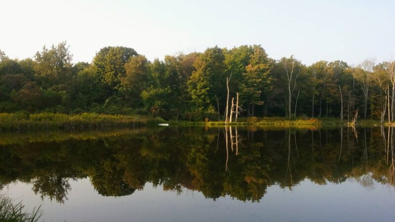 Schenectady County Nature and Forest Preserve - Delanson, NY