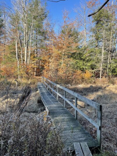 Schenectady County Nature and Forest Preserve - Delanson, NY