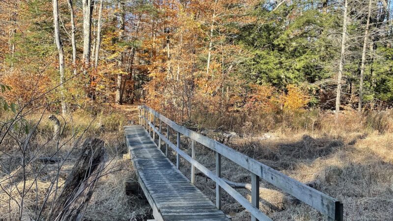 Schenectady County Nature and Forest Preserve - Delanson, NY