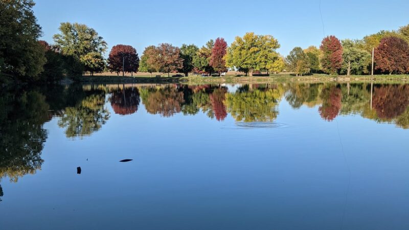 Lake Park - Delavan, IL