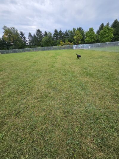 Gordon Yadon Park - Delavan, WI