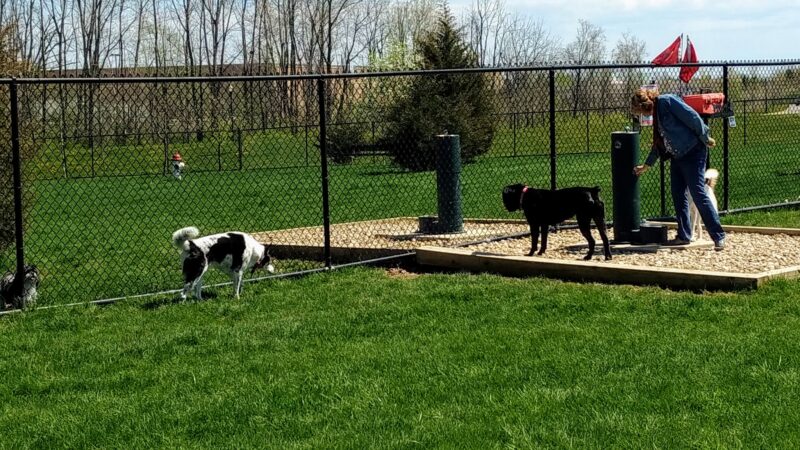 Delaware City Dog Park - Delaware, OH