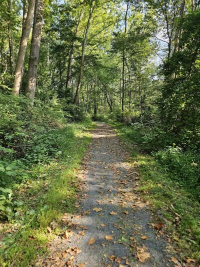 Cherry Creek Crossing Loop Trail - Delaware Water Gap, PA