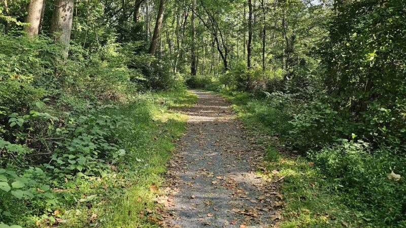 Cherry Creek Crossing Loop Trail - Delaware Water Gap, PA